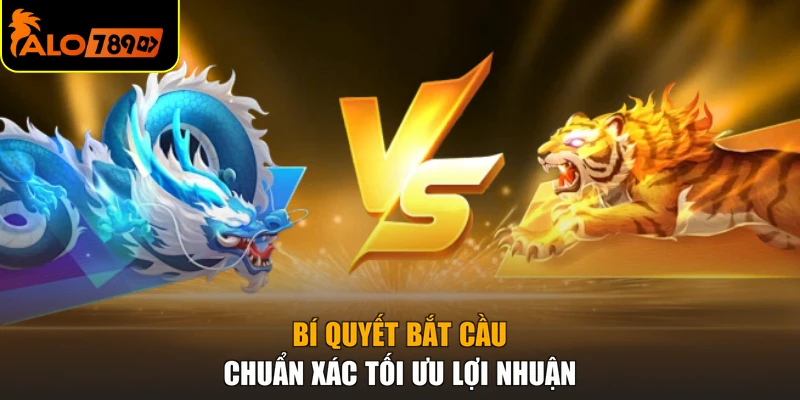 Bí quyết bắt cầu chuẩn xác tối ưu lợi nhuận