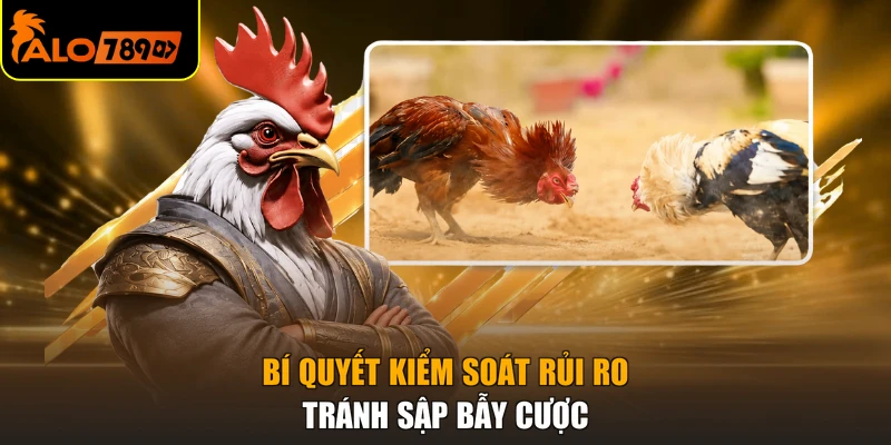 Bí quyết kiểm soát rủi ro tránh sập bẫy cược