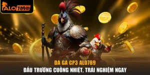Đá Gà CP3 ALO789 - Đấu Trường Cuồng Nhiệt, Trải Nghiệm Ngay
