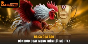 Đá Gà Cựa Dao - Đòn Độc Đoạt Mạng, Kiếm Lời Mỏi Tay