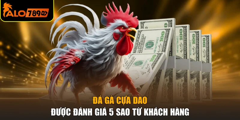 Đá gà cựa dao được đánh giá 5 sao từ khách hàng