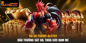 Đá Gà Thomo ALO789 - Đấu Trường Sắt Đá, Thỏa Sức Đam Mê