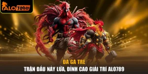 Đá Gà Tre - Trận Đấu Nảy Lửa, Đỉnh Cao Giải Trí ALO789